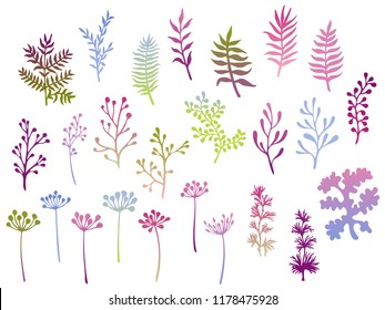 Willow and palm tree branches, fern twigs, lichen moss, mistletoe, savory grass herbs, dandelion flower vector illustrations set. Pink blue green branches, twigs floral collection isolated on white