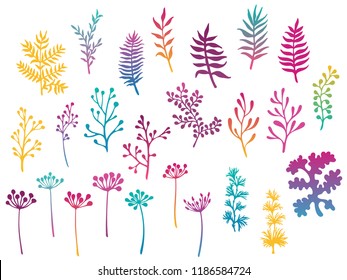 Willow and palm tree branches, fern twigs, lichen moss, mistletoe, savory grass herbs, dandelion flower vector illustrations set. Magenta teal yellow branches, twigs floral collection isolated.