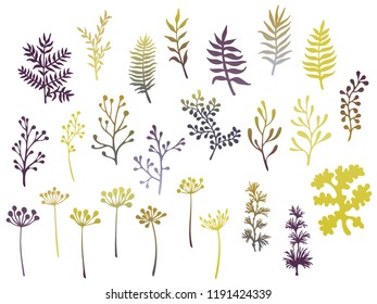 Willow and palm tree branches, fern twigs, lichen moss, mistletoe, savory grass herbs, dandelion flower vector illustrations set. Gold grey branches, twigs floral collection isolated on white