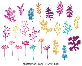 Willow and palm tree branches, fern twigs, lichen moss, mistletoe, savory grass herbs, dandelion flower vector illustrations set. Trendy colorful branches, twigs floral collection isolated on white