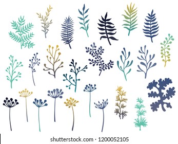 Willow and palm tree branches, fern twigs, lichen moss, mistletoe, savory grass herbs, dandelion flower vector illustrations set. Gradient colors branches, twigs floral collection isolated on white