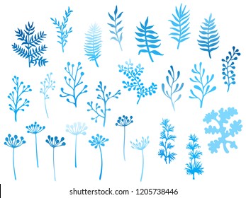 Willow and palm tree branches, fern twigs, lichen moss, mistletoe, savory grass herbs, dandelion flower vector illustrations set. Blue branches, twigs floral collection isolated on white