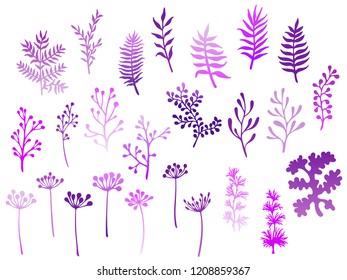 Willow and palm tree branches, fern twigs, lichen moss, mistletoe, savory grass herbs, dandelion flower vector illustrations set. Violet branches, twigs floral collection isolated on white