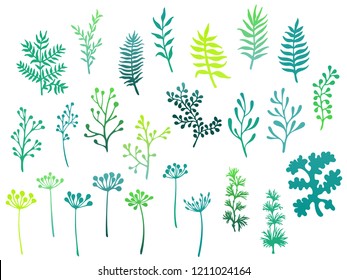 Willow and palm tree branches, fern twigs, lichen moss, mistletoe, savory grass herbs, dandelion flower vector illustrations set. Sea green branches, twigs floral collection isolated on white