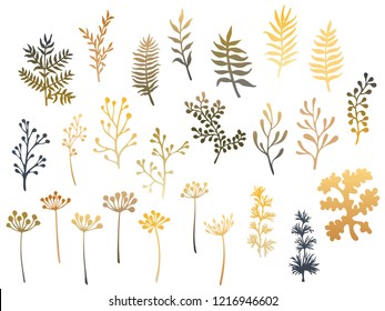 Willow and palm tree branches, fern twigs, lichen moss, mistletoe, savory grass herbs, dandelion flower vector illustrations set. Brown gold branches, twigs floral collection isolated on white