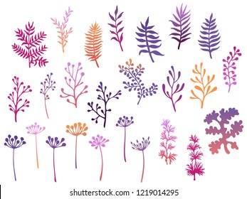 Willow and palm tree branches, fern twigs, lichen moss, mistletoe, savory grass herbs, dandelion flower vector illustrations set. Purple orange branches, twigs floral collection isolated on white