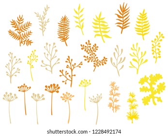 Willow and palm tree branches, fern twigs, lichen moss, mistletoe, savory grass herbs, dandelion flower vector illustrations set. Yellow brown branches, twigs floral collection isolated on white