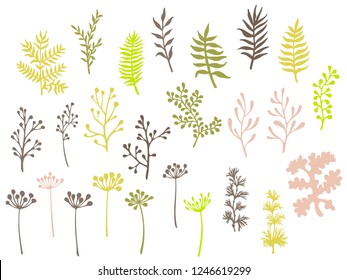 Willow and palm tree branches, fern twigs, lichen moss, mistletoe, savory grass herbs, dandelion flower vector illustrations set. Green brown branches, twigs floral collection isolated on white