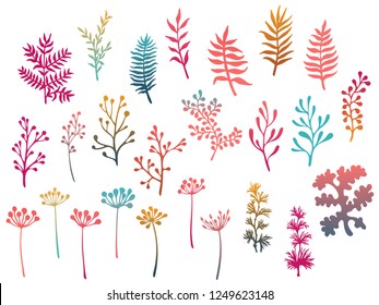 Willow and palm tree branches, fern twigs, lichen moss, mistletoe, savory grass herbs, dandelion flower vector illustrations set. Red pink blue branches, twigs floral collection isolated on white