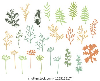 Willow and palm tree branches, fern twigs, lichen moss, mistletoe, savory grass herbs, dandelion flower vector illustrations set. Lovely green brown branches, twigs floral collection isolated on white