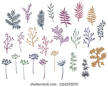 Willow and palm tree branches, fern twigs, lichen moss, mistletoe, savory grass herbs, dandelion flower vector illustrations set. Dark green brown branches, twigs floral collection isolated on white