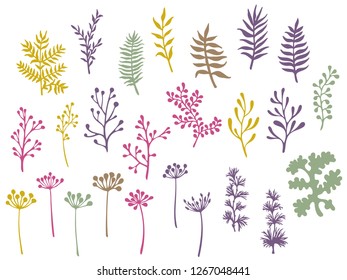 Willow and palm tree branches, fern twigs, lichen moss, mistletoe, savory grass herbs, dandelion flower vector illustrations set. Green gold purple branches, twigs floral collection isolated on white