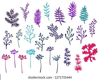 Willow and palm tree branches, fern twigs, lichen moss, mistletoe, savory grass herbs, dandelion flower vector illustrations set. Violet red blue branches, twigs floral collection isolated on white