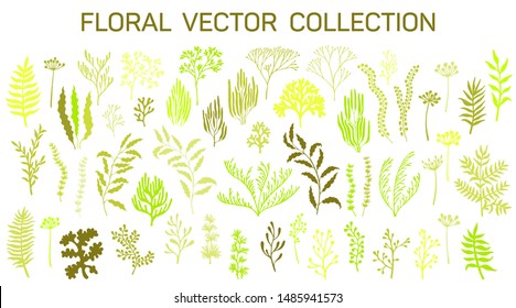 Willow and palm tree branches, fern twigs, lichen moss, mistletoe, summer grass herbs, dandelion flower vector illustrations set. Seaweeds and coral reef underwater plans. Aquarium, ocean marine algae