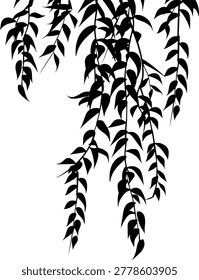 Willow Silhouette: A dramatic silhouette of weeping willow branches cascade downward, creating a visually striking display of nature's elegance and artistic flair.