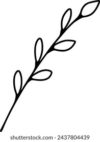 Willow sprig doodle, pussy-willow twig vector illustration