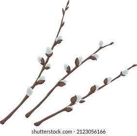Willow. Three willow branches. Spring illustration depicting willow branches. Vector illustration isolated on a white background