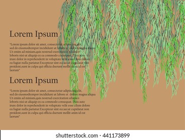 Willow Tree Branch For Frame Background. Green Leave Weeping Tree On Brown  Background With Text