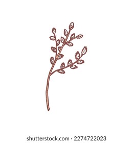 Willow tree branch, hand drawn sketch vector illustration isolated on white background. Symbol of spring season and Easter holiday. Blooming willow with engraving texture.