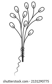 Willow. Tree branches are tied with thread. Sketch. Vector illustration. Coloring book for children. Doodle style. Happy Easter. Fluffy plant. Herald of spring. Outline on isolated background. 