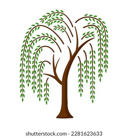 Willow tree. Color icon with tree. Vector illustration isolated on white background. Element for logo