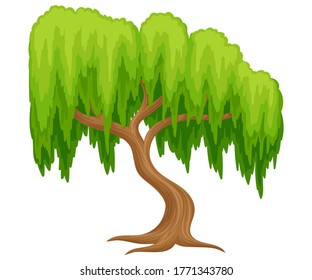 Willow Tree with Exuberant Green Foliage and Trunk Vector Illustration