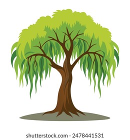 Willow tree flat vector illustration on white background