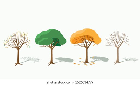 Willow tree in four seasons spring summer autumn winter. In the spring, buds open. Summer green leaves. Autumn leaves turn yellow and fall. In winter, the tree sleeps. Vector illustration.