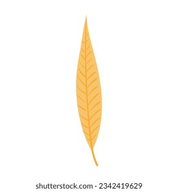 Willow tree leaf in autumn hand drawn illustration. Cartoon style flat design, isolated vector. Kids autumn, fall print, seasonal plant element, woodland, park, outdoors, nature