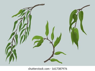 Willow Tree And Leaves Set Vector