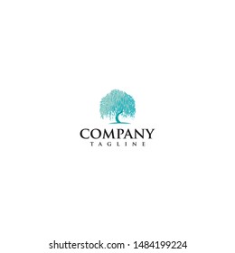 Willow Tree Logo Design Vector