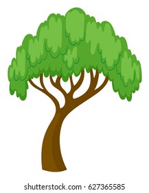 Árbol silvestre en ilustración de fondo blanco