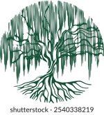 Willow tree with roots over white