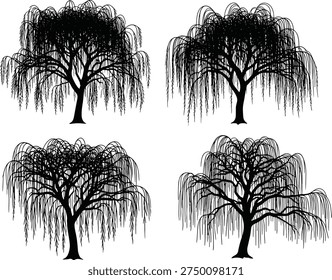 Willow tree silhouette set, black vector trees, drooping branches, botanical shapes, nature icons, foliage design, flat vector illustration