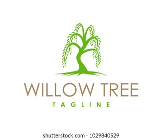 Willow Tree Symbol Logo Vector