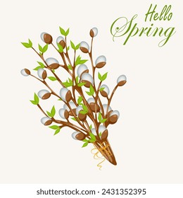 Willow tree twigs. Spring elements. Easter symbols. Stock vector isolated on white background
