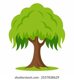 willow tree vector icon with white background