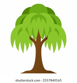 willow tree vector icon with white background