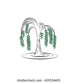 Willow Tree Vector Illustration
