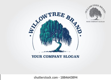 Willow Tree Vector Logo Template.That were created to highlight the organic, natural aspect of our life. This concept could be used for recycling, environment associations, landscape business, etc.