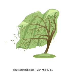 Salgueiro em tempo ventoso. Planta vetorial com brisa ou vento, movimento da flora no ambiente da tempestade. Madeira ou elemento florestal. Símbolo de tronco ou madeira com folhagem e ramificação.
