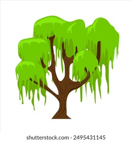 A willow tree with yellowish-green leaves.