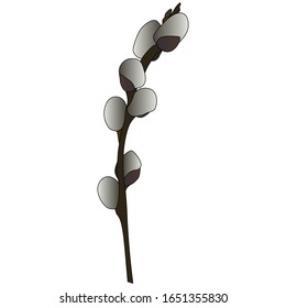 Willow twig. Branch of a tree. Colored vector illustration. Cartoon style. Happy Easter. Fluffy plant. Spring Herald. Plant on an isolated background. Idea for web design, invitations, postcards.
