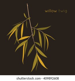 Willow twig. Floral design element. Tree branch with leaves. Isolated vector illustration. Floral silhouette