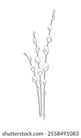 Willow twig hand-drawn line isolated on a white background, black and white illustration, vector. Decorative botanical element, contour drawing for Easter, Palm Sunday, decorations, decorations.