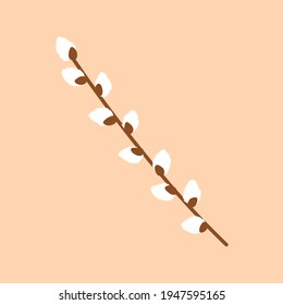 Willow twig isolated on a delicate colored background. Easter fluffy willow. Design for Easter, postcards, packages, sticker, icon. Vector illustration in a flat style.