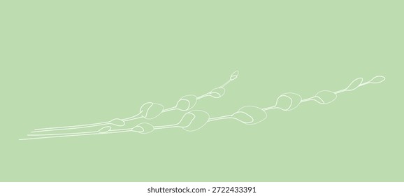 Ramitas de sauce sobre un fondo verde, Ilustración vectorial de contorno con una línea. Elemento de fondo festivo decorativo para el diseño, decoración, cartel con un lugar para el texto. Brotes de sauce de primavera para Pascua