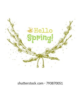 Willow twigs, vector illustration.