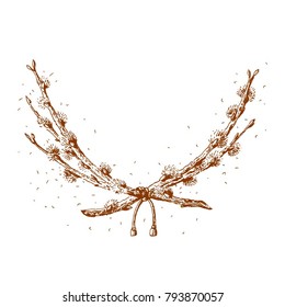 Willow twigs, vector illustration.