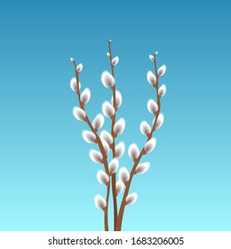 Willow, vector Happy Easter illustration on a Sky background